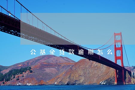 公基金贷款逾期怎么 公基金贷款逾期怎么