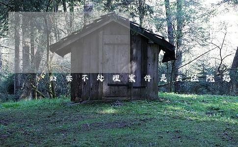 公安不处理案件是去法院起诉还是 公安不处理案件是去法院起诉还是