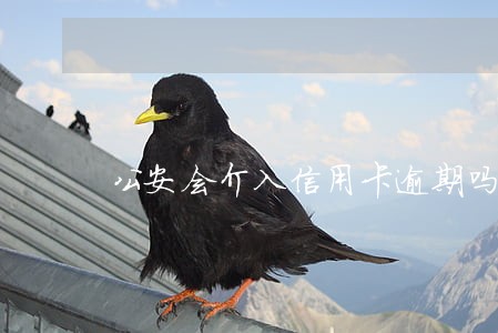 公安会介入信用卡逾期吗