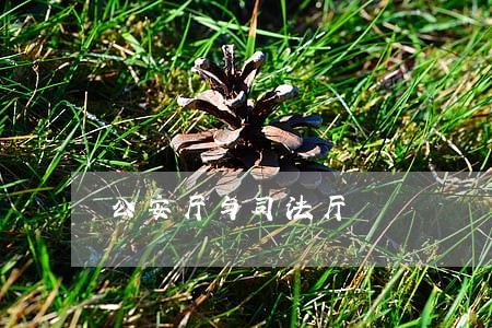 公安厅与司法厅 公安厅与司法厅