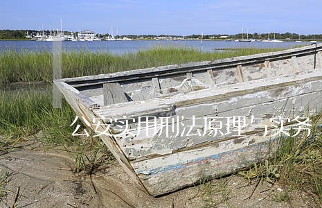 公安实用刑法原理与实务