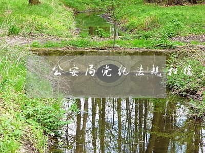 公安局党纪法规和德廉知识