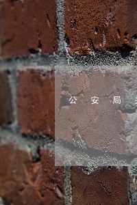 公安局关于司法建议书复函 公安局关于司法建议书复函