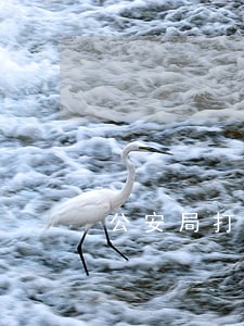 公安局打电话说信用卡逾期
