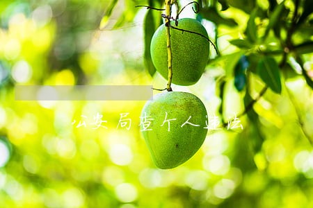 公安局查个人违法