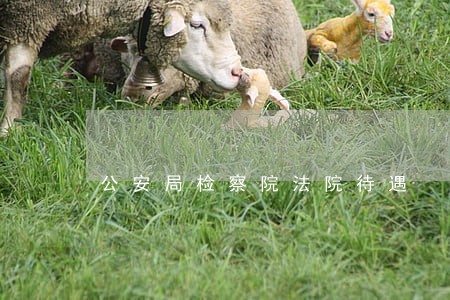 公安局检察院法院待遇 公安局检察院法院待遇