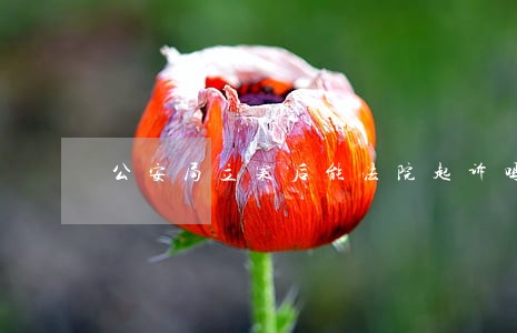 公安局立案后能法院起诉吗 公安局立案后能法院起诉吗