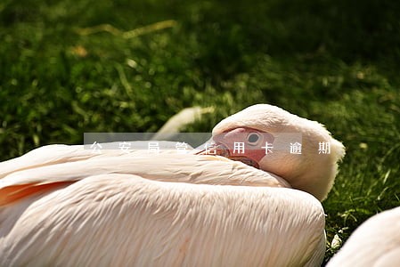 公安局管信用卡逾期