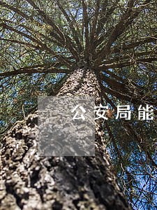 公安局能查信用卡逾期吗 公安局能查信用卡逾期吗