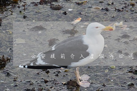 公安提前介入虚假诉讼调查 公安提前介入虚假诉讼调查