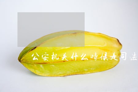 公安机关什么时候是司法机关