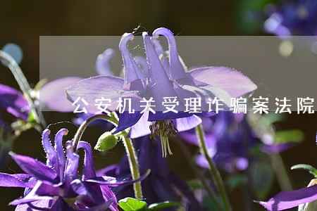 公安机关受理诈骗案法院撤销 公安机关受理诈骗案法院撤销