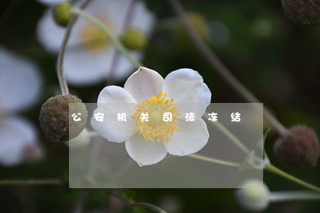 公安机关司法冻结 公安机关司法冻结