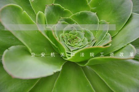 公安机关和法院工资改革 公安机关和法院工资改革