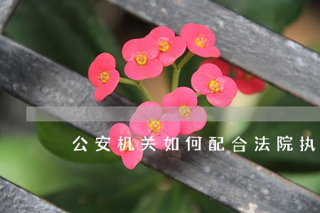 公安机关如何配合法院执行工作 公安机关如何配合法院执行工作