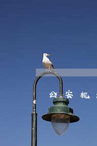 公安机关录视频违法么 公安机关录视频违法么