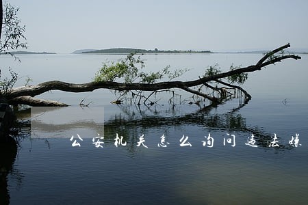 公安机关怎么询问违法嫌疑人 公安机关怎么询问违法嫌疑人