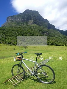 公安机关查办税务违法案件 公安机关查办税务违法案件