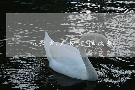 公安机关的边控法规 公安机关的边控法规