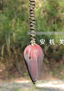 公安机关罚款后被法院罚款 公安机关罚款后被法院罚款