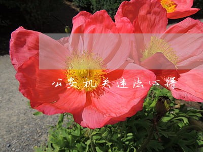 公安机关违法心得 公安机关违法心得