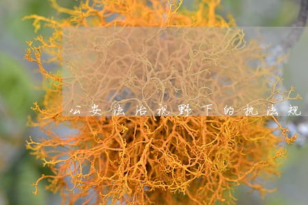 公安法治视野下的执法规范化建设 公安法治视野下的执法规范化建设