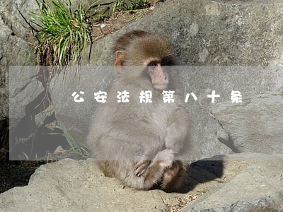 公安法规第八十条 公安法规第八十条