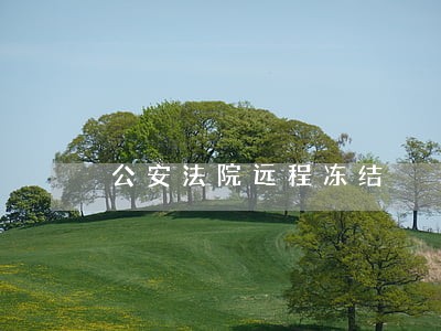 公安法院远程冻结 公安法院远程冻结