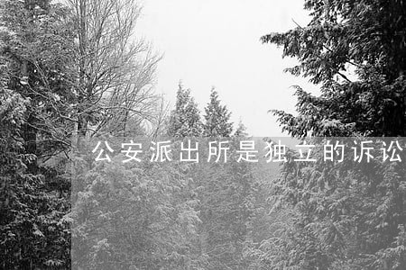 公安派出所是独立的诉讼主体吗 公安派出所是独立的诉讼主体吗