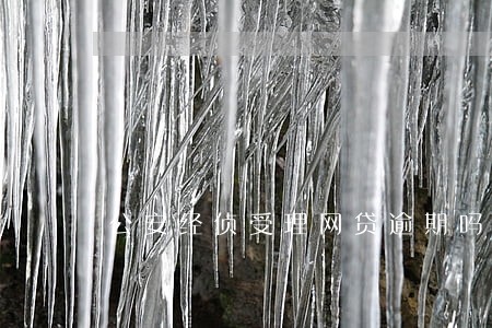 公安经侦受理网贷逾期吗 公安经侦受理网贷逾期吗