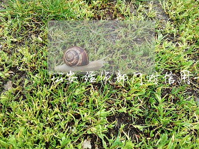 公安经侦部门对信用卡逾期 公安经侦部门对信用卡逾期