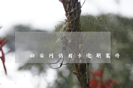 公安网信用卡逾期案件 公安网信用卡逾期案件