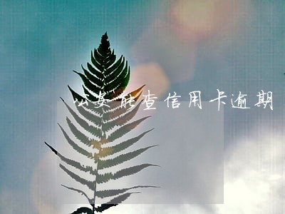 公安能查信用卡逾期 公安能查信用卡逾期