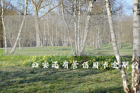 公安还有管信用卡逾期的部门吗 公安还有管信用卡逾期的部门吗