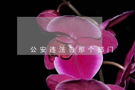 公安违法告那个部门 公安违法告那个部门