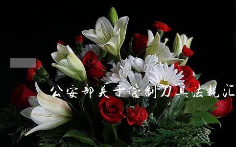 公安部关于管制刀具法规汇编 公安部关于管制刀具法规汇编