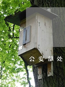 公安部处理交通违法再添便民服务 公安部处理交通违法再添便民服务