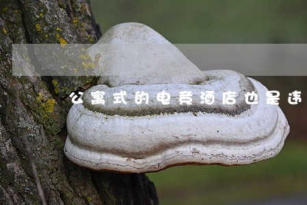 公寓式的电竞酒店也是违法 公寓式的电竞酒店也是违法