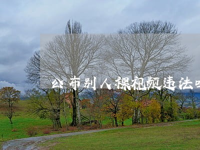 公布别人裸视频违法吗 公布别人裸视频违法吗