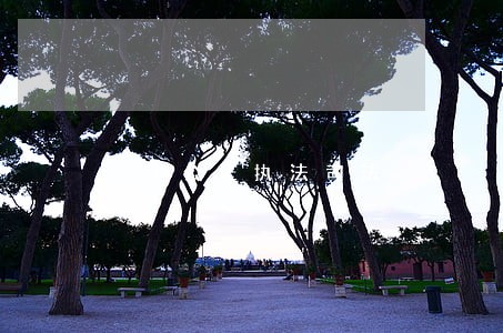 公平公正执法司法 公平公正执法司法