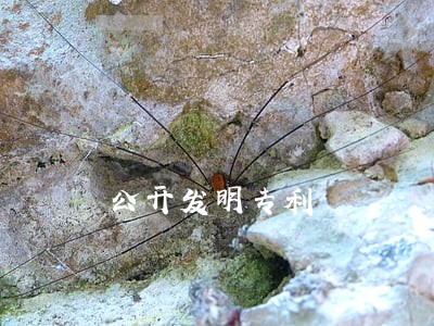公开发明专利 公开发明专利