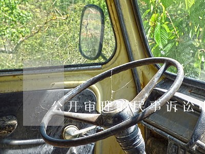 公开审理的民事诉讼中的诉状 公开审理的民事诉讼中的诉状