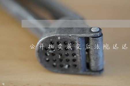 公开拍卖成交后法院迟迟不执行 公开拍卖成交后法院迟迟不执行
