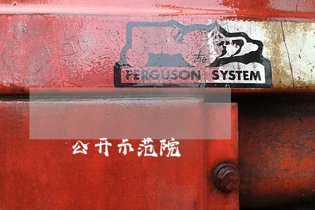 公开示范院
