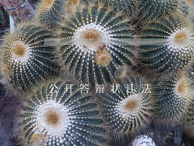公开答辩状违法 公开答辩状违法