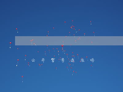 公开警号违法吗 公开警号违法吗