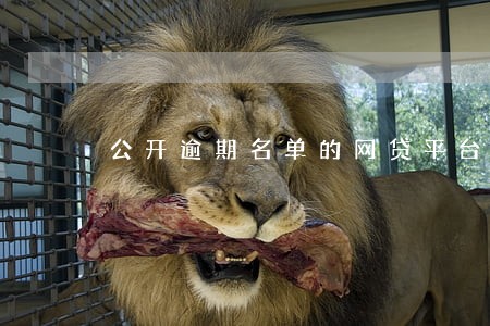 公开逾期名单的网贷平台