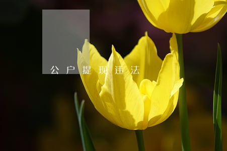 公户提现违法 公户提现违法