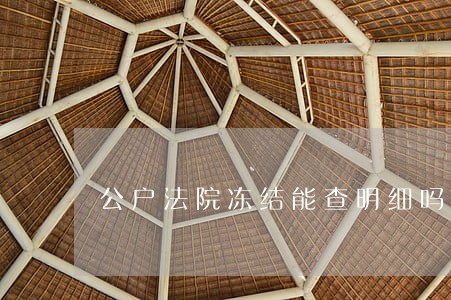 公户法院冻结能查明细吗 公户法院冻结能查明细吗