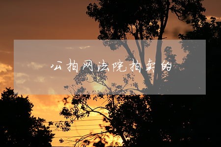 公拍网法院拍卖的 公拍网法院拍卖的